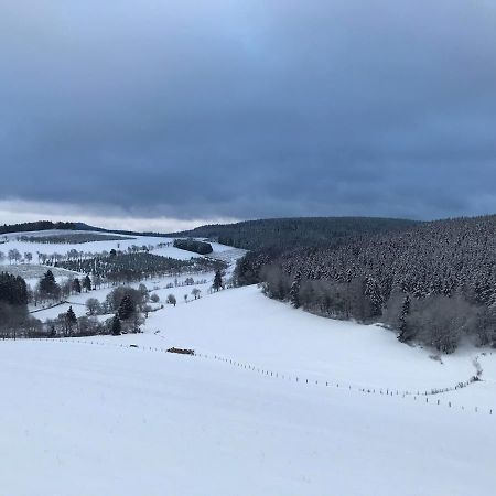 Appartement Familie Willems Winterberg 3 מראה חיצוני תמונה