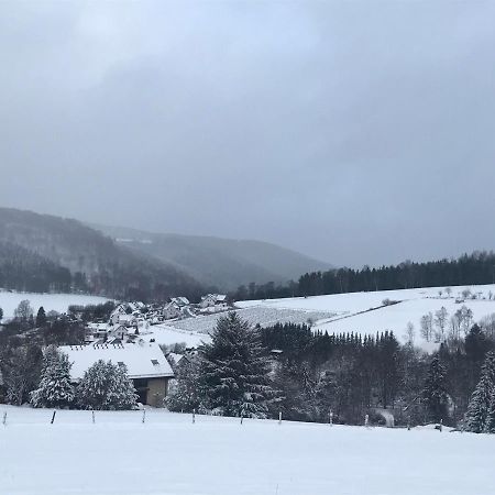 Appartement Familie Willems Winterberg 3 מראה חיצוני תמונה