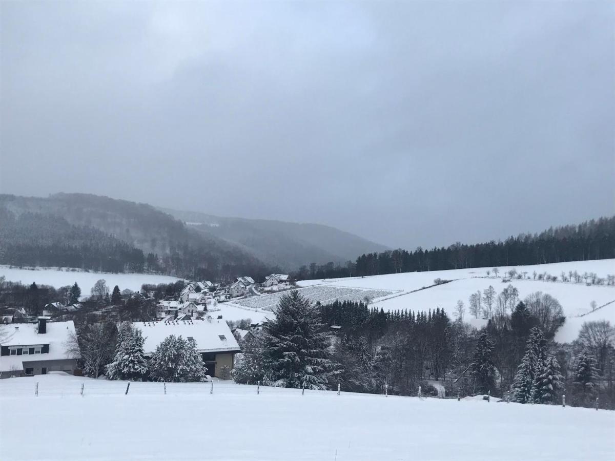 Appartement Familie Willems Winterberg 3 מראה חיצוני תמונה