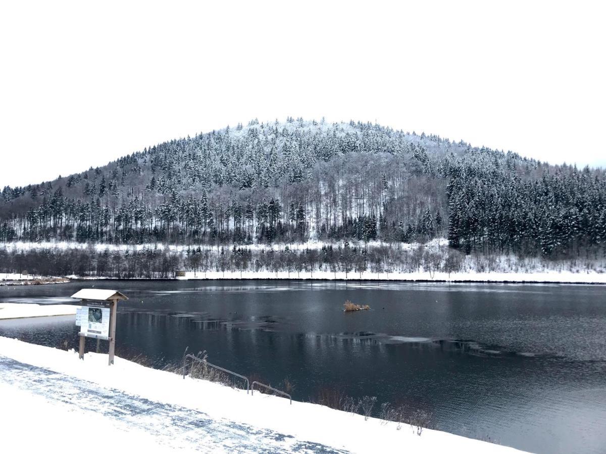 Appartement Familie Willems Winterberg 3 מראה חיצוני תמונה